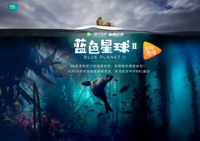 老公都是怎么搞你的剧照2